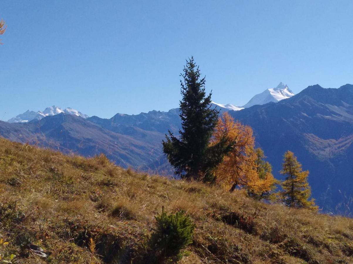 B&B Chalet Rustica Inden, Leukerbad Dış mekan fotoğraf